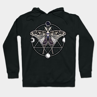 Asexual Luna Moth Celestial Cottagecore LGBT Pride Flag Hoodie